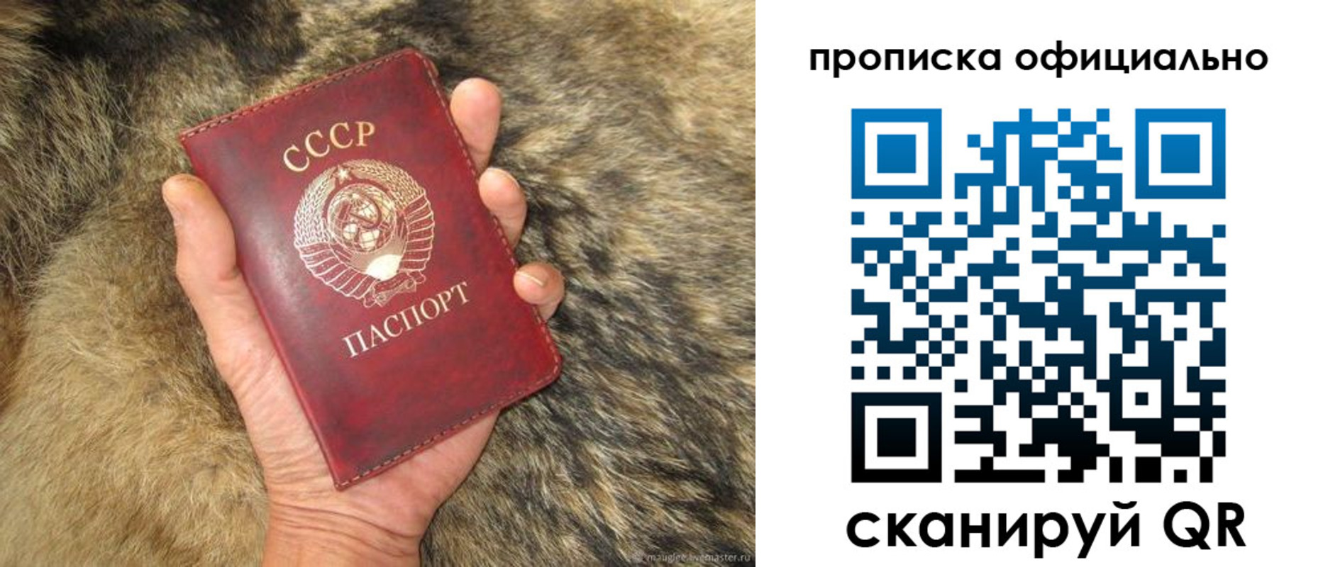 прописка паспорт в Десногорске